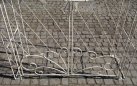 MELISA - Kolor kremowy antyczny - pergola ogrodowa z bramką retro w kilku kolorach metalowy