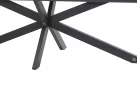Ekspresowy stół ogrodowy 280 x 95 cm podstawa krzyżowa aluminiowa ciemnoszara blad HPL ciemnoszary minerva 4so