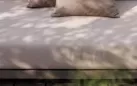 Duże aluminiowy narożnik ogrodowy ekskluzywny w kolorze taupe Everest
